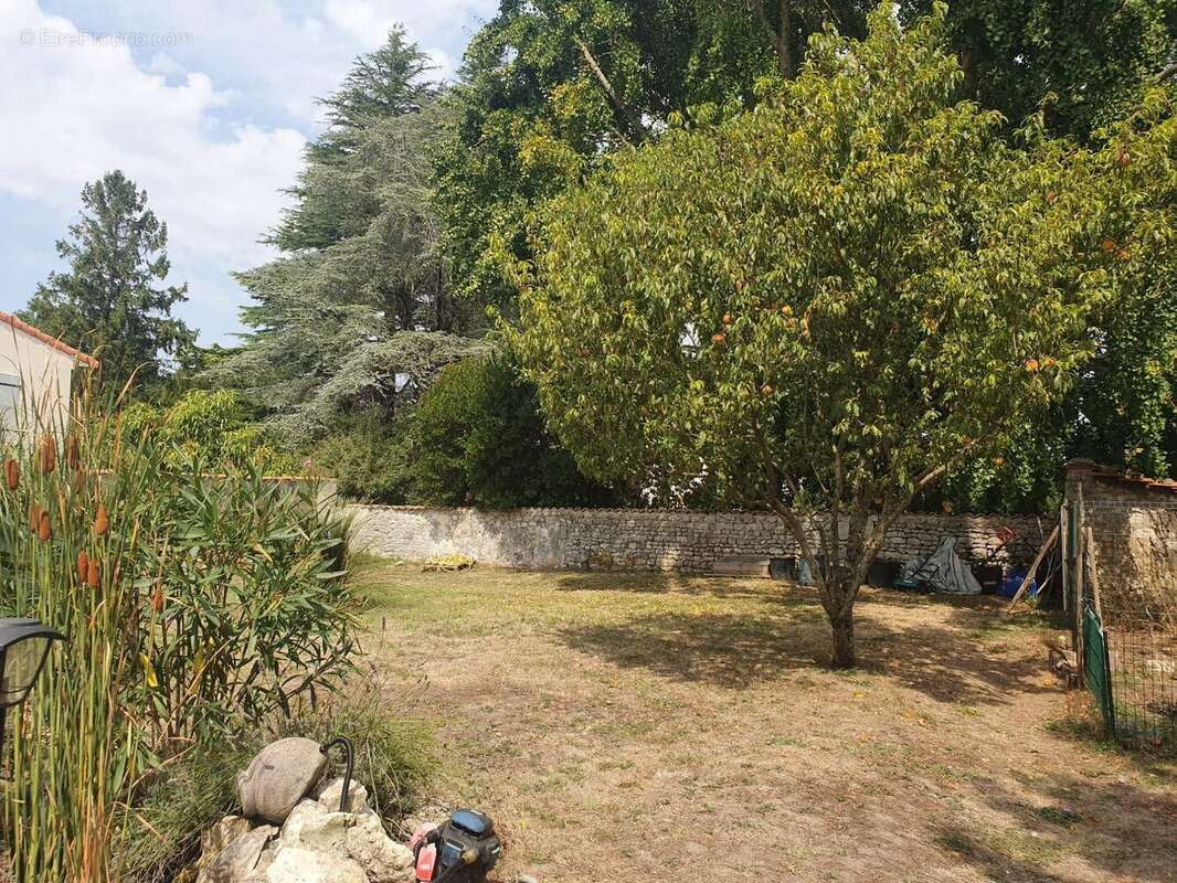 Maison 125 m² à Cozes  - photo 3