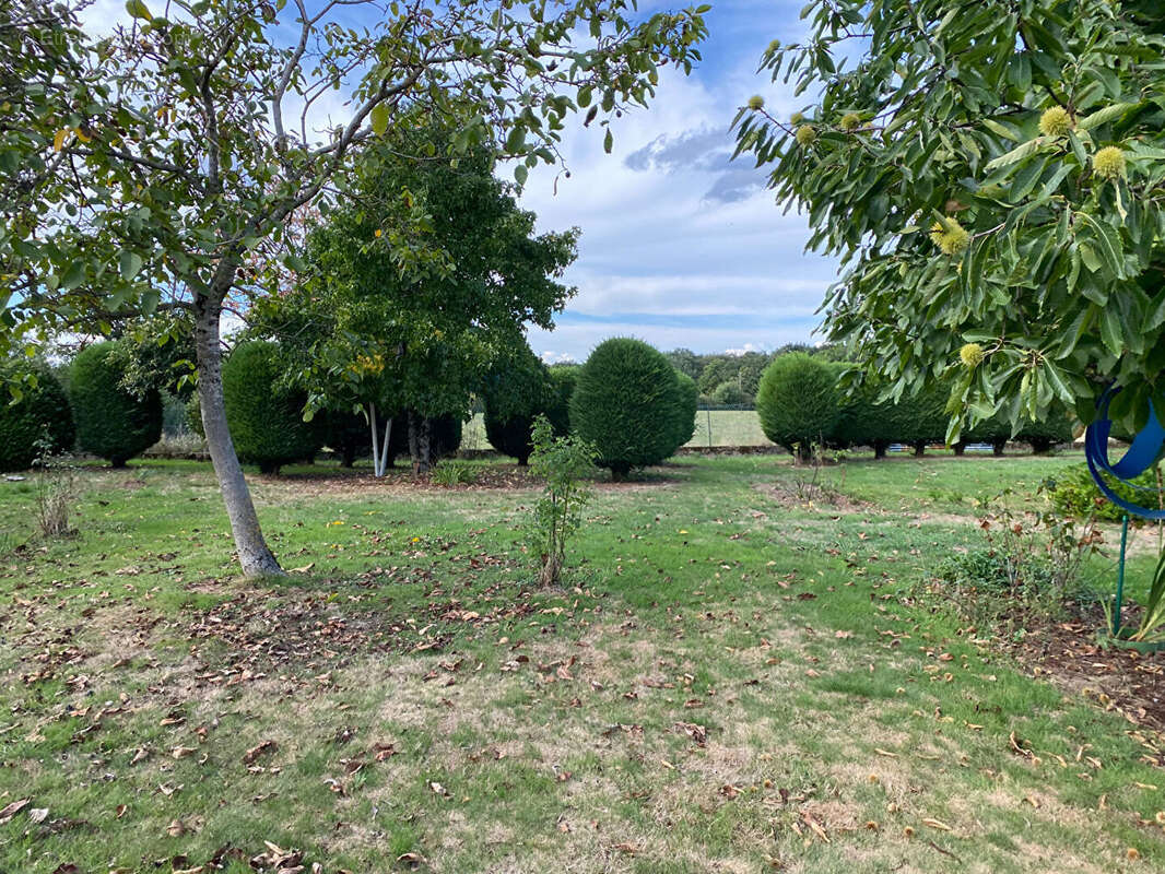Maison à SAINT-PIERRE-LES-ETIEUX