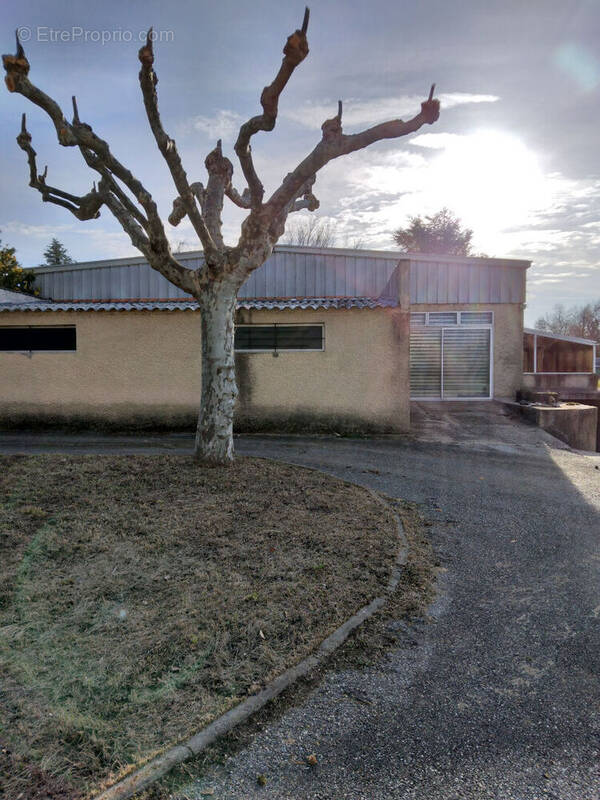 Commerce à BARCELONNE