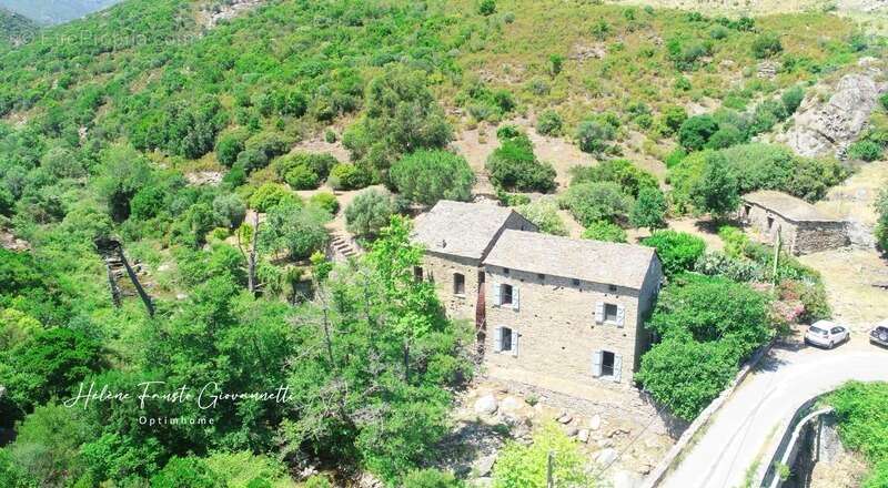Ancien Moulin en Pierre avec dépendances sur près de 2,3 hectares – Santo-Pietro-di-Tenda - photo 43