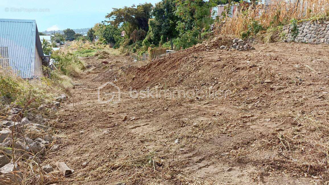 Terrain à SAINT-PAUL