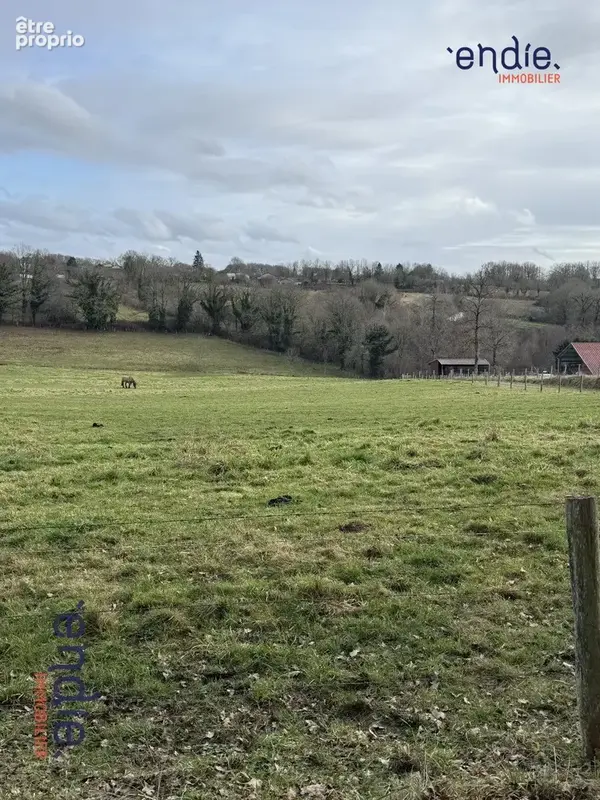 Terrain 62 720 m² à vendre à Chaillac-Sur-Vienne (87200) - photo 3