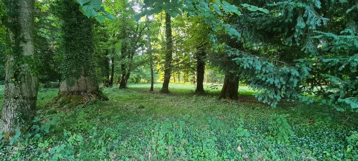 20 minutes de dijon - rare a la vente - terrain de 1ha15ares et 45ca - photo 6