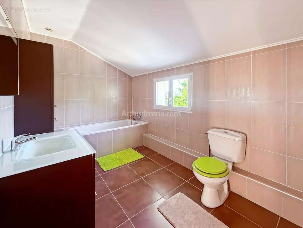 Maison à SOISY-SUR-SEINE