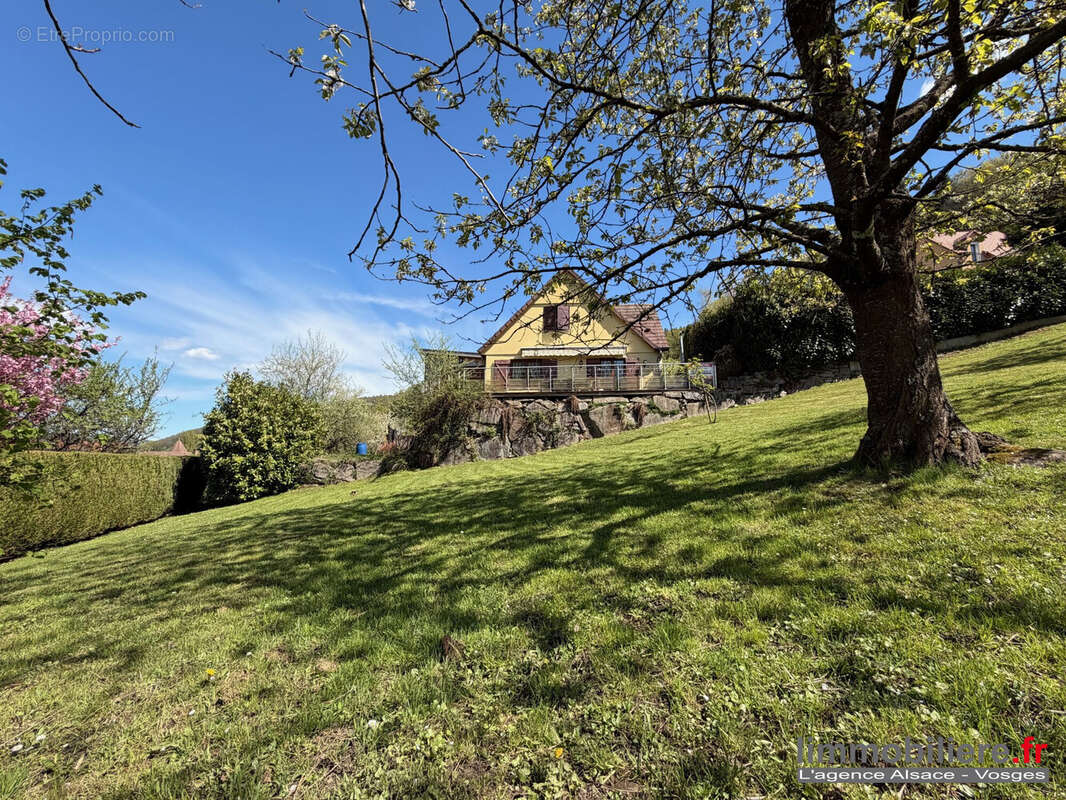 Maison à SAINTE-MARIE-AUX-MINES