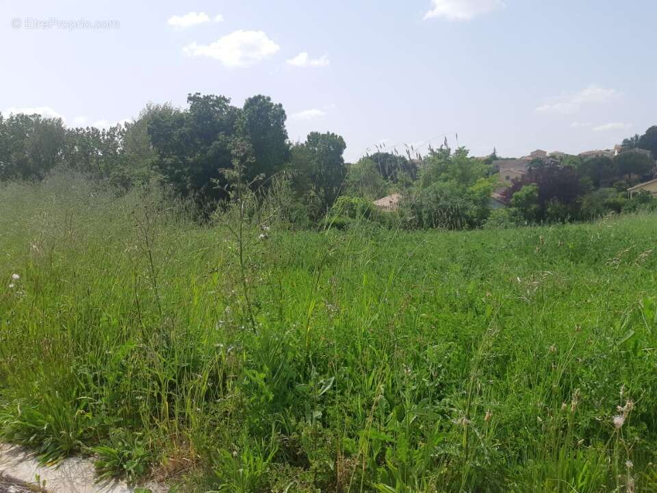 Terrain à CASTELNAU-D'ESTRETEFONDS