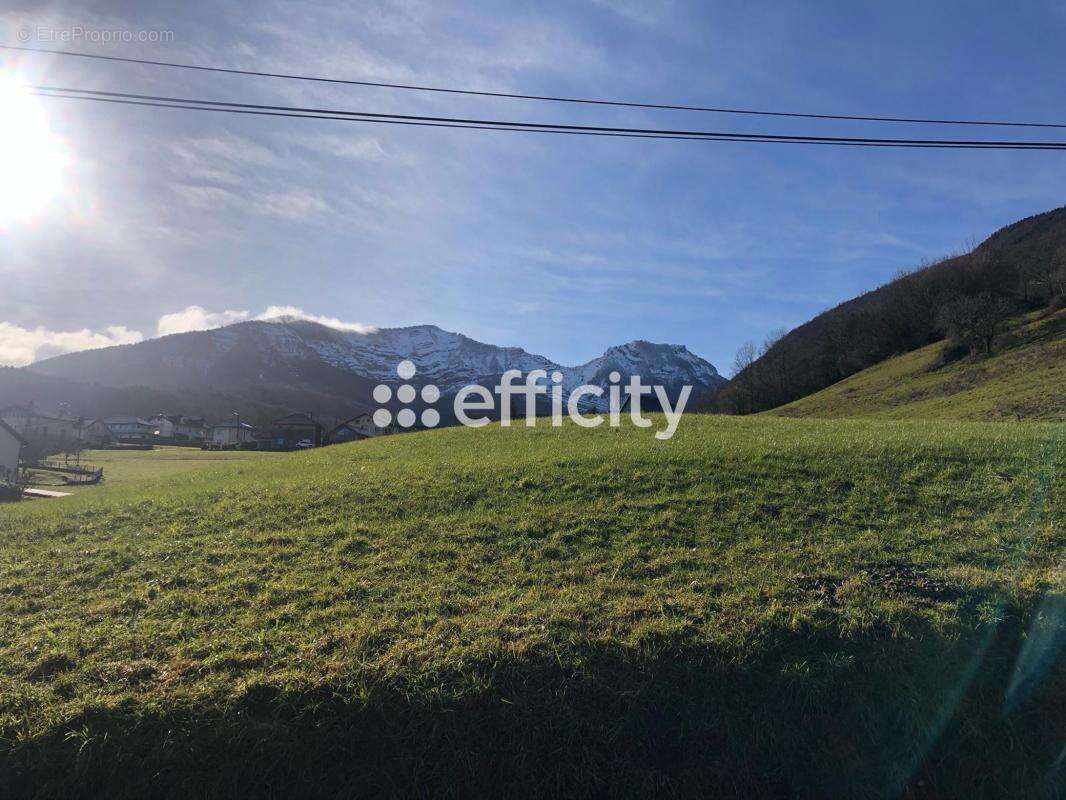 Terrain à SAINT-CASSIN