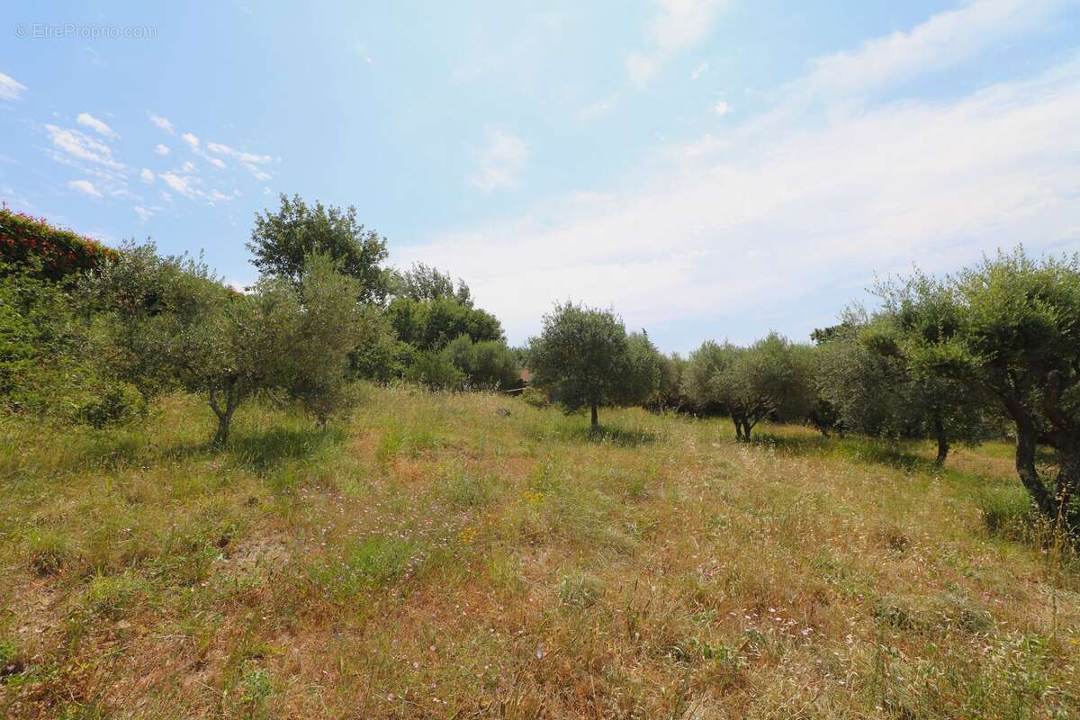 Maison à BAGNOLS-EN-FORET