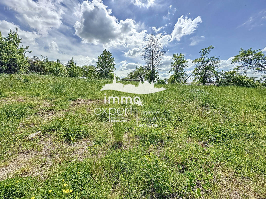 Terrain à ROZEROTTE