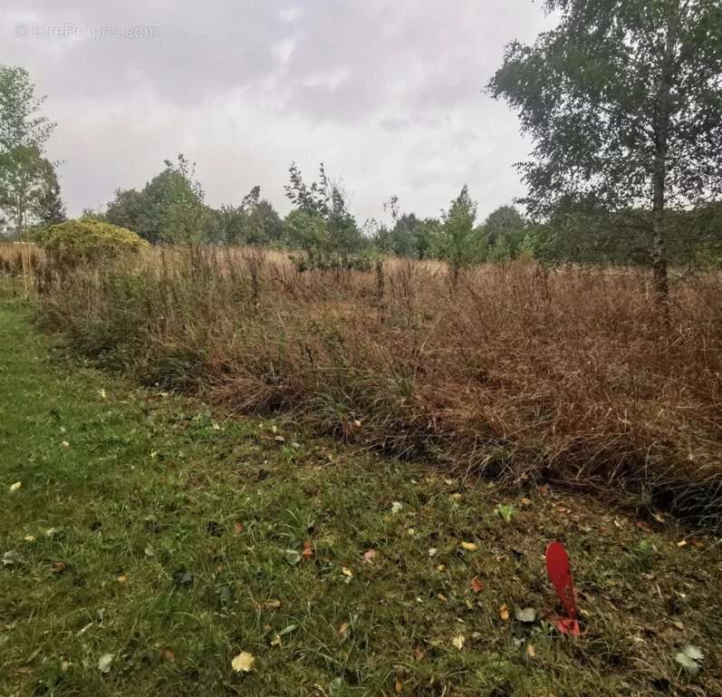 Meslan Vente Terrains à bâtir - photo 3