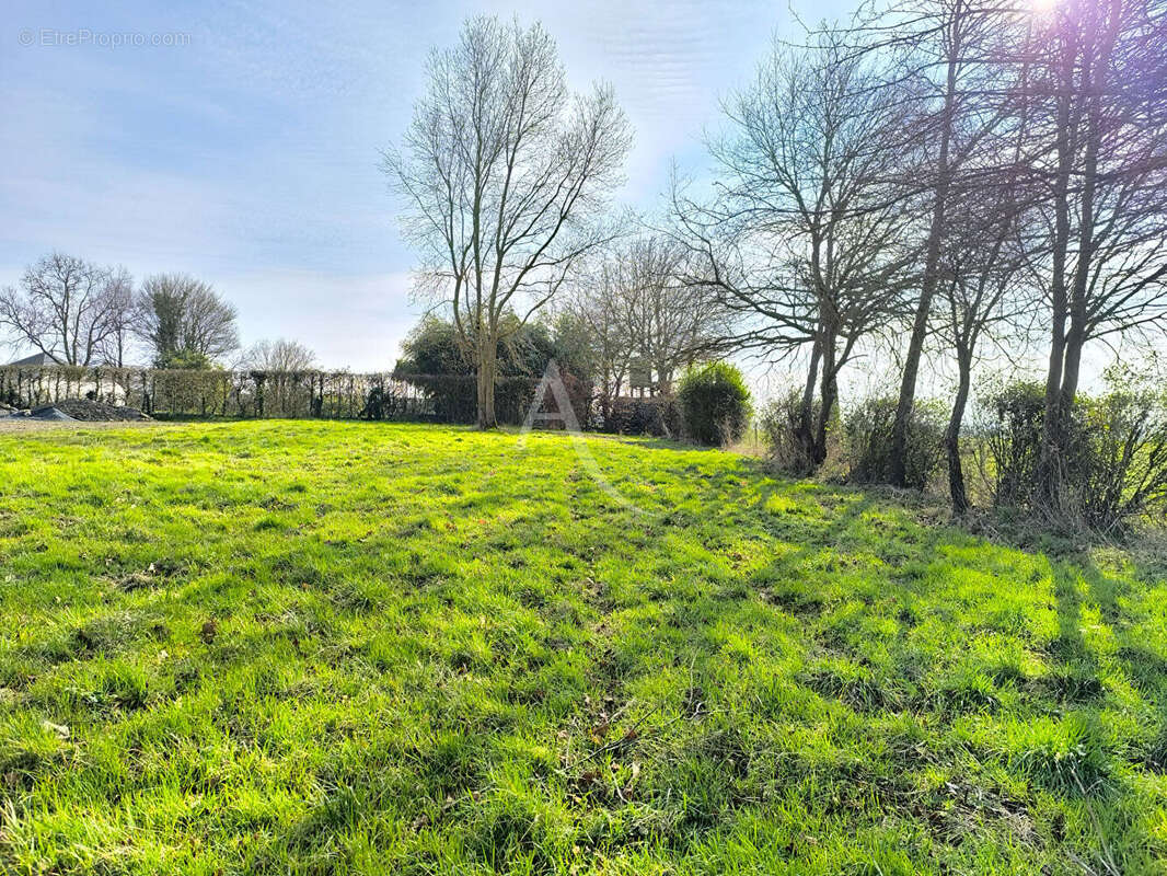 Terrain à THORIGNE-D&#039;ANJOU