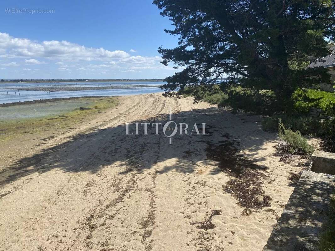 L’île d’Arz – Propriété unique en bord de mer - photo 21