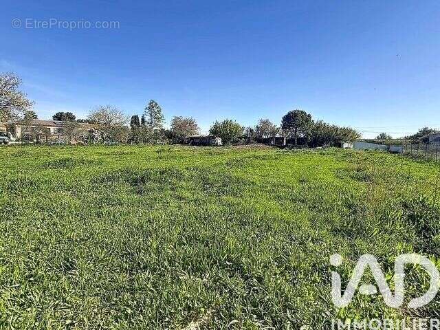 Photo 1 - Terrain à PUISSALICON