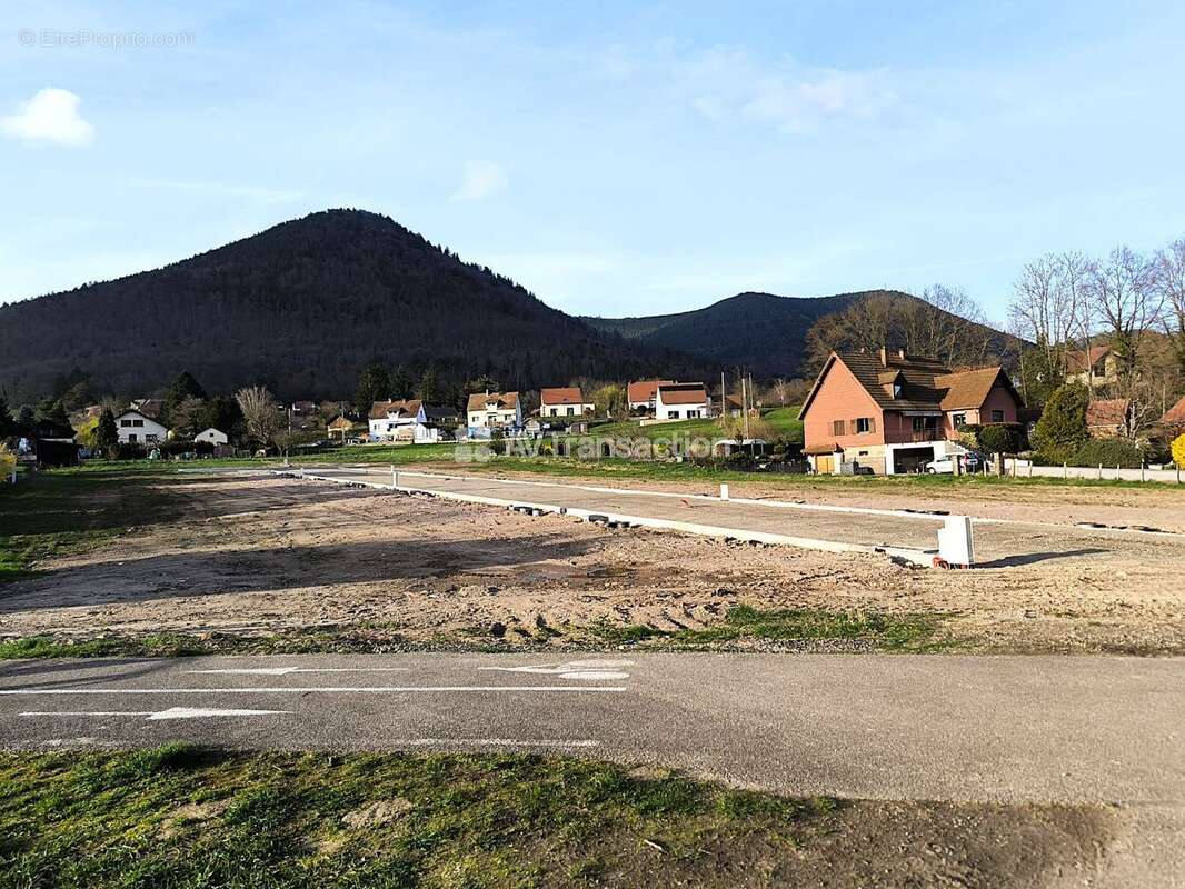 Terrain à LIEPVRE