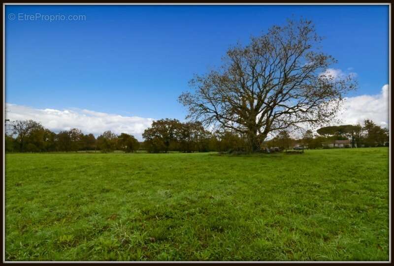 Terrain à PEYREHORADE