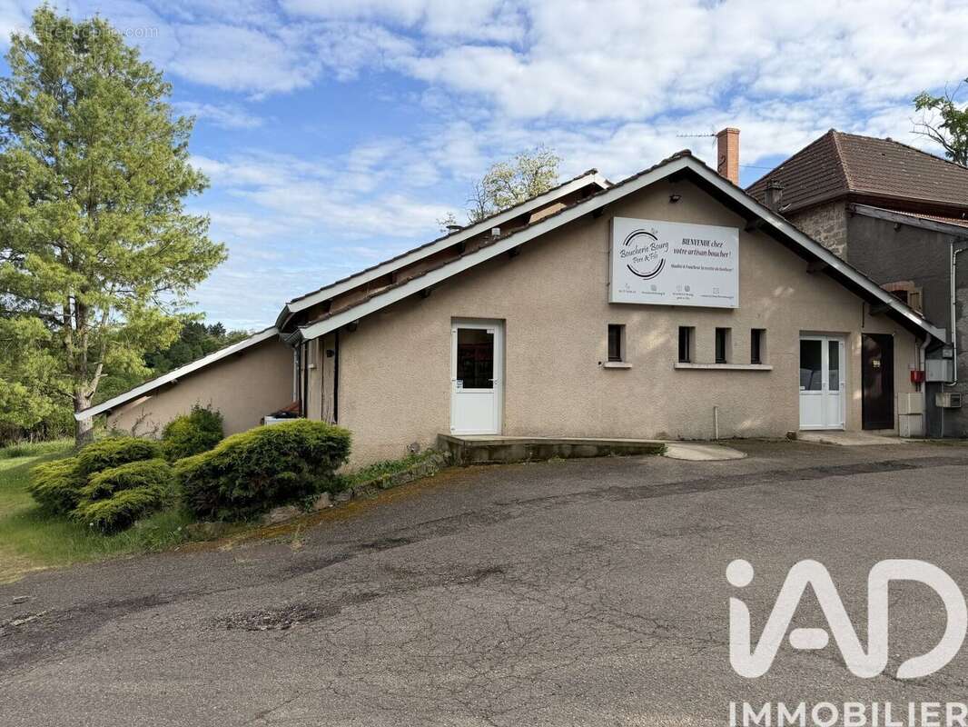 Photo 3 - Maison à SAINT-HAON-LE-VIEUX