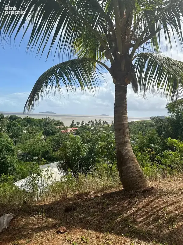 Cayenne : terrain situé route de bourda avec vue panoramique en hauteur, dimensionné de 1016m2 à vendre - photo 4