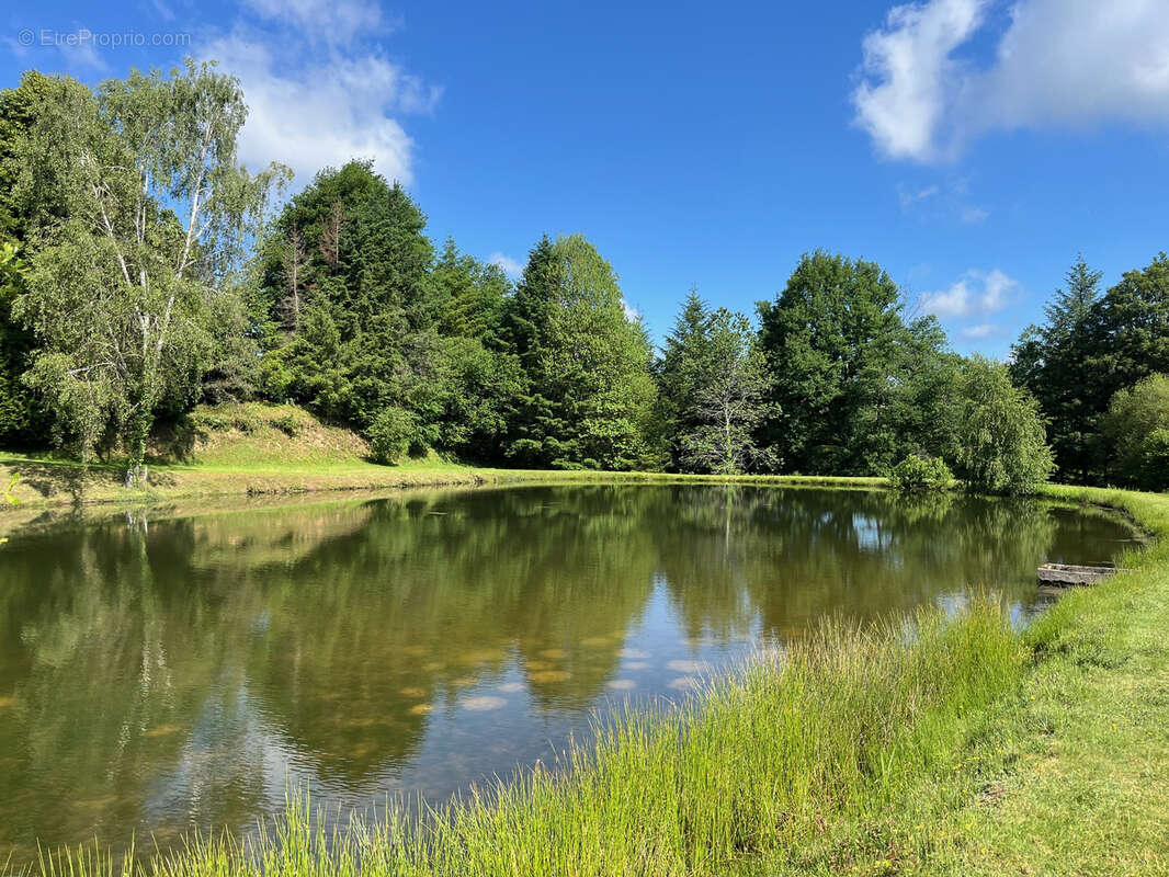 Terrain de 1,8 Hectare avec Deux Étangs près de Coussac-Bonneval (Non Constructible) - photo 4
