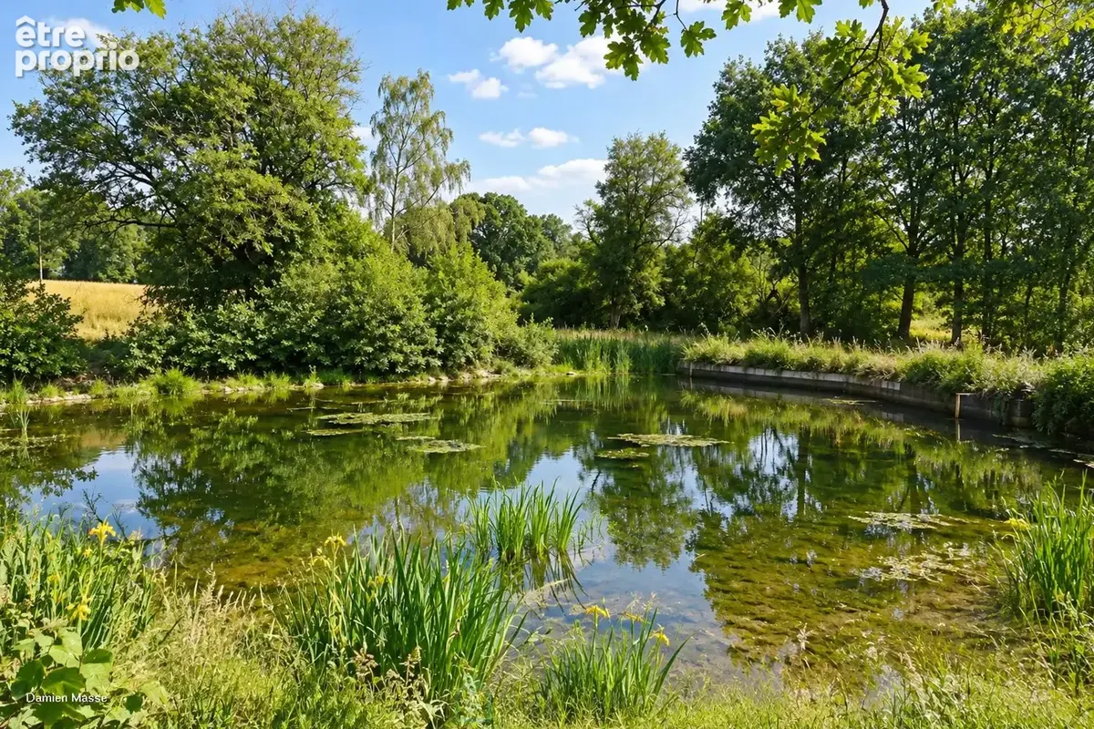 Ancien corps de ferme niché au coeur de 10 hectares de nature verdoyante et préservée, dans le Périgord vert. - photo 10