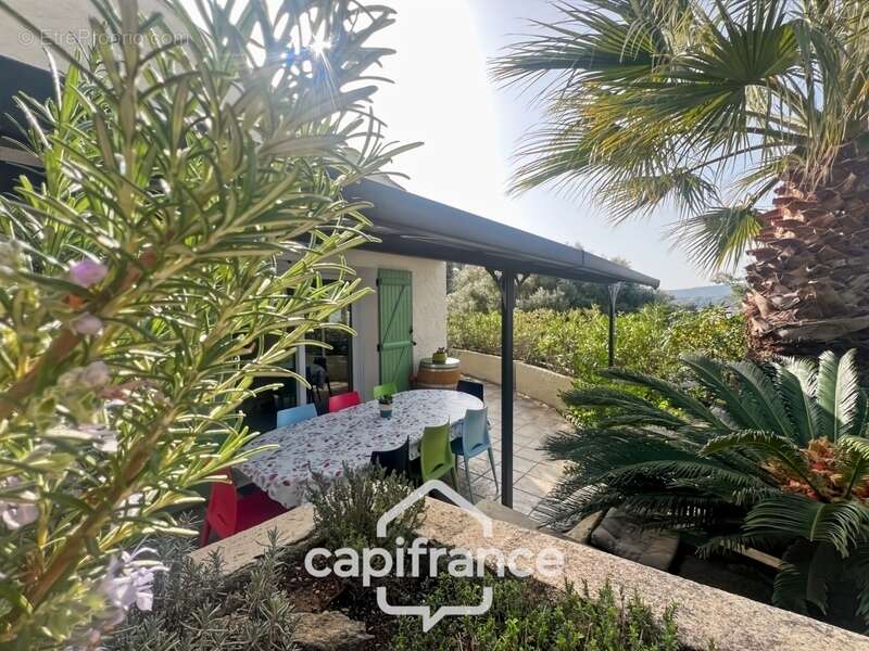 Maison à LE LAVANDOU