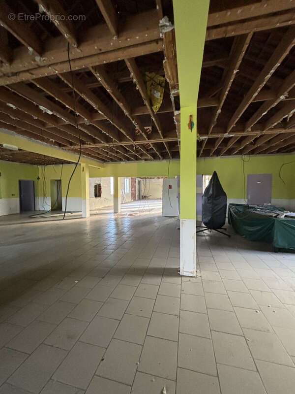 Au coeur du parc national à 9km de CHATILLON SUR SEINE ( 21)  :habitation de 450 M2 avec 1,5HA bord d'eau - photo 6