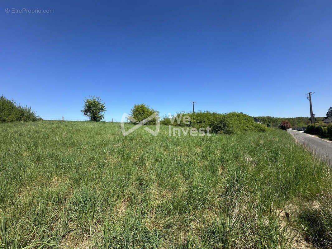 Terrain 1 658 m² à vendre à Matton-Et-Clemency (08110) - photo 4
