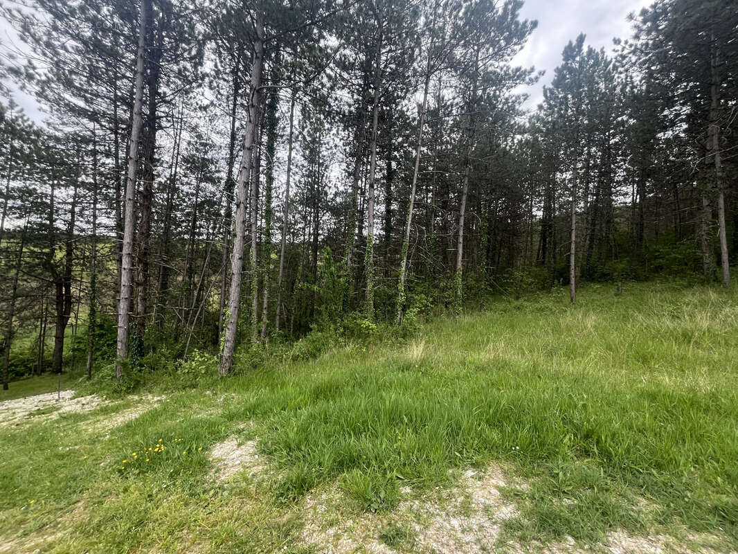 Terrain à BASSILLAC