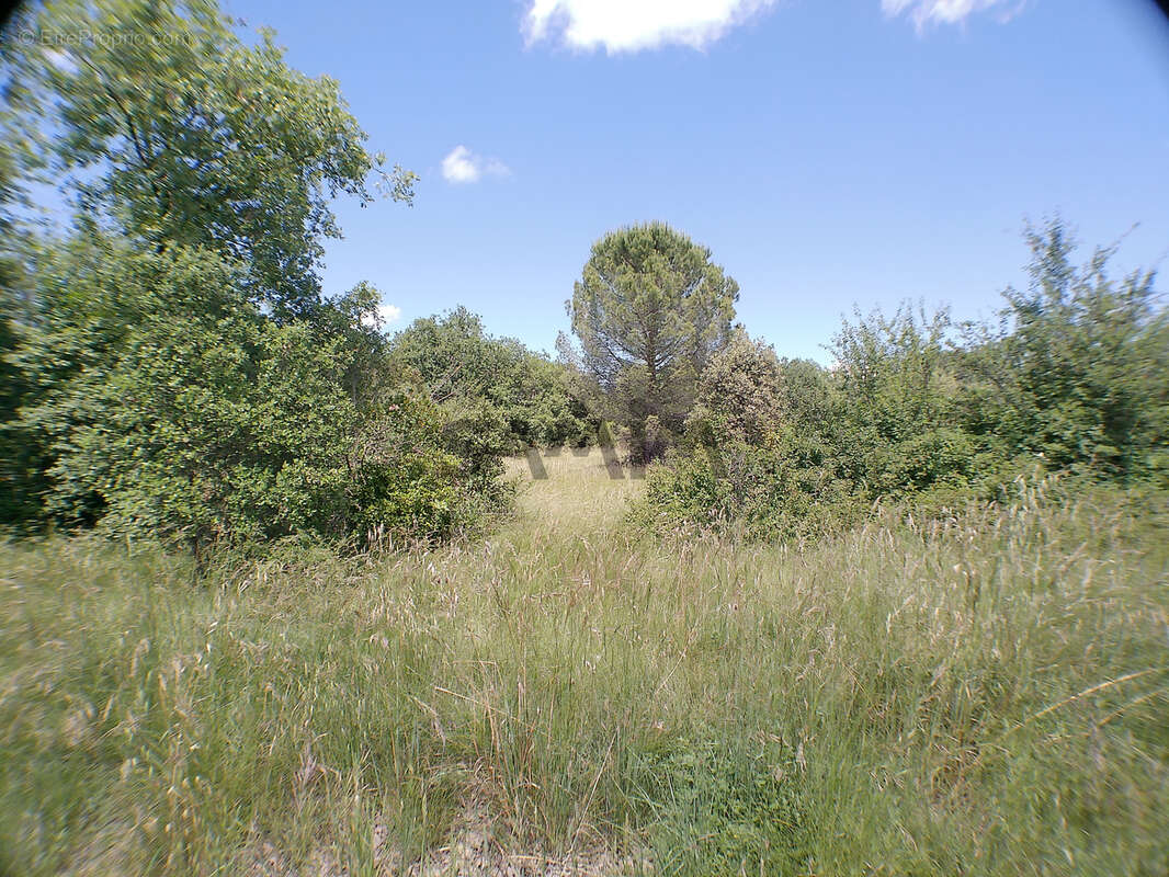 Terrain à SAUVE