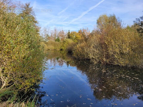 Terrain à STRASBOURG