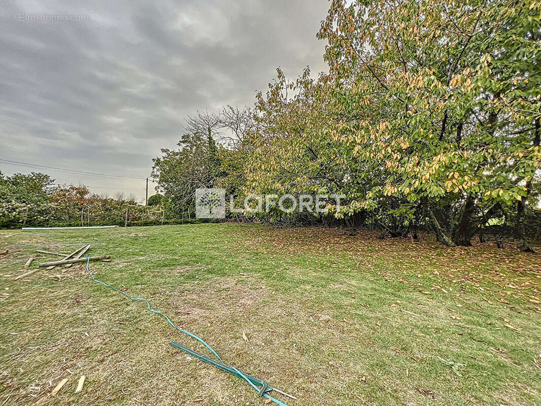 Terrain à DOUE-LA-FONTAINE