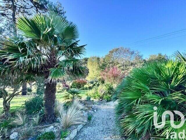 Photo 4 - Maison à PLOBANNALEC-LESCONIL