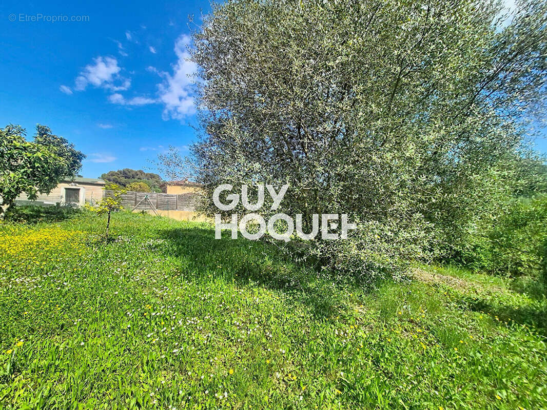 Deux maisons indépendantes 2 et 3 pièces sur 495 m² à Mougins - photo 12