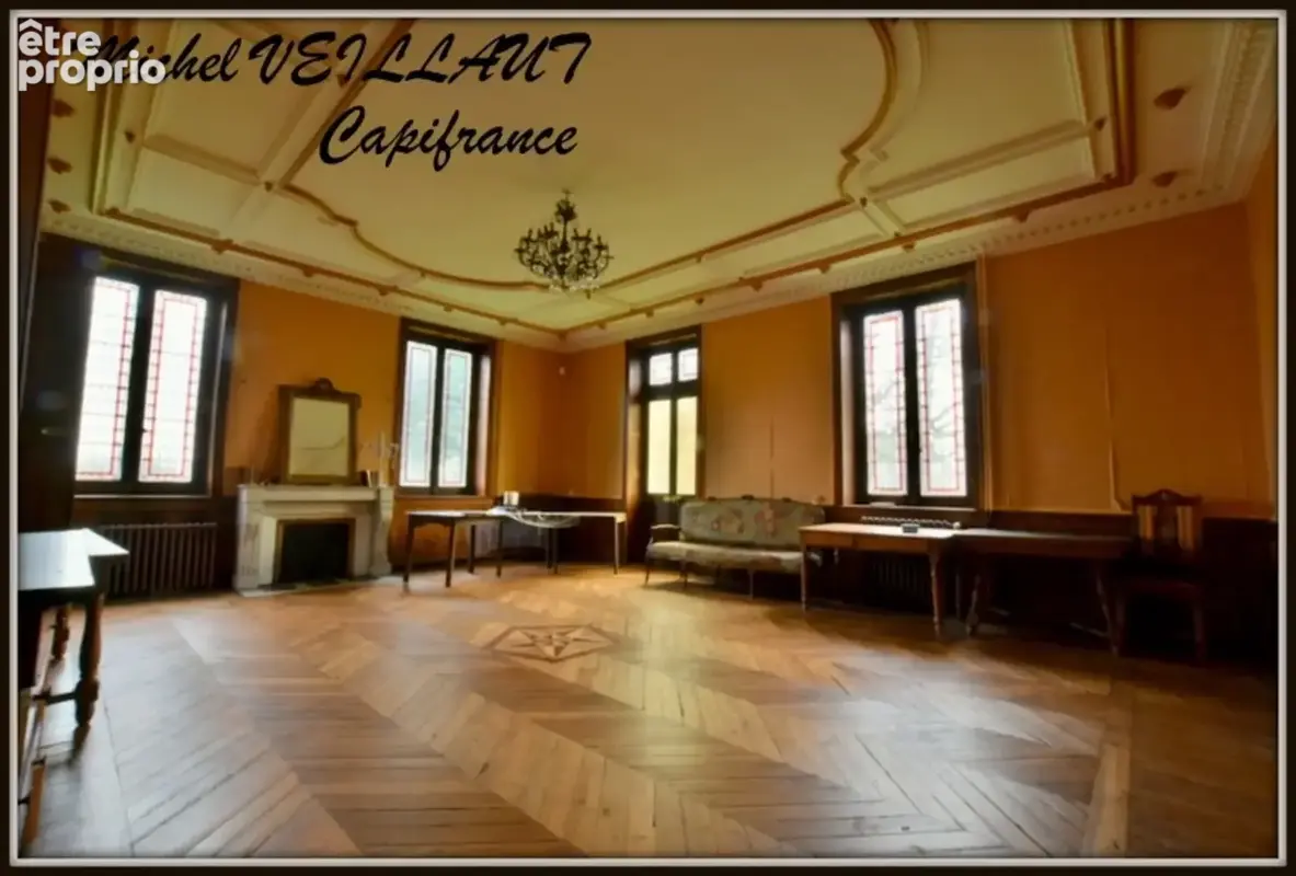 Propriété à vendre avec bâtisse de 15 pièces, 2 gîtes, terrain 7390 m², VILLENEUVE SUR ALLIER (03) - photo 4