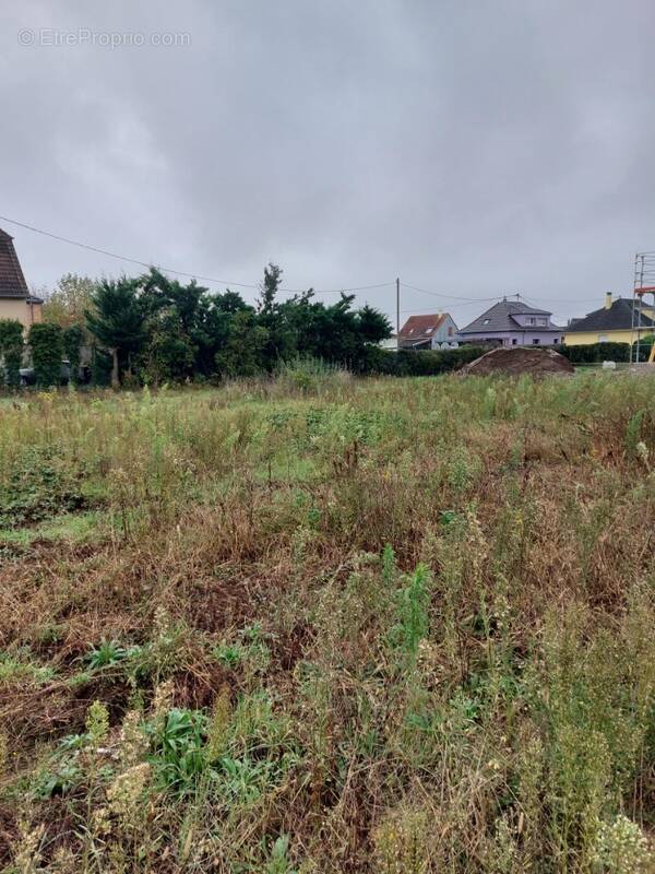 Terrain à DESSENHEIM