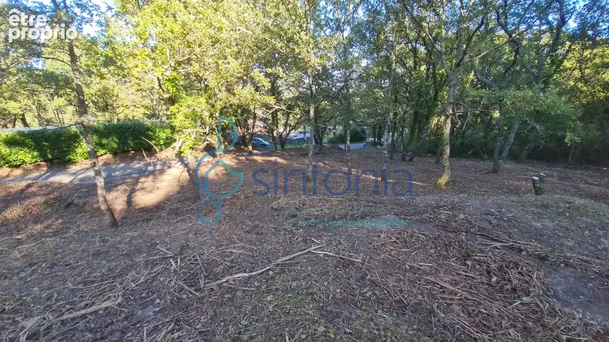Proche Uzès et Bagnols, terrain constructible de 1500m2 à vendre à Pougnadoresse - photo 5