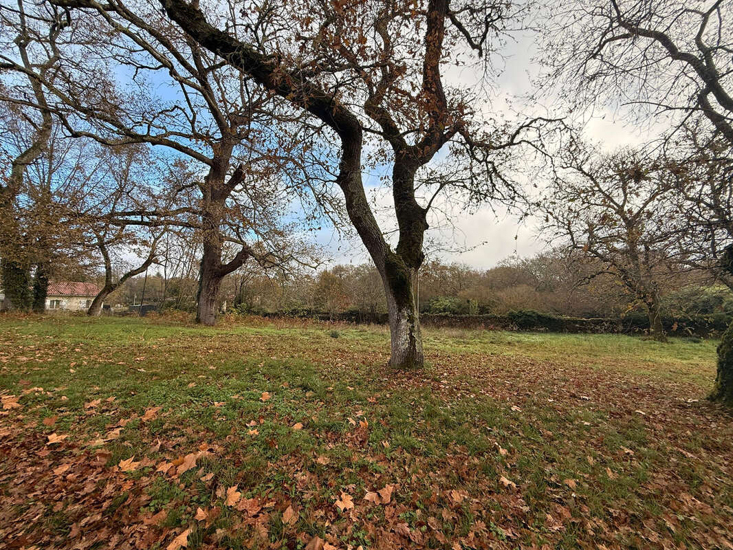 Terrain à UCHACQ-ET-PARENTIS