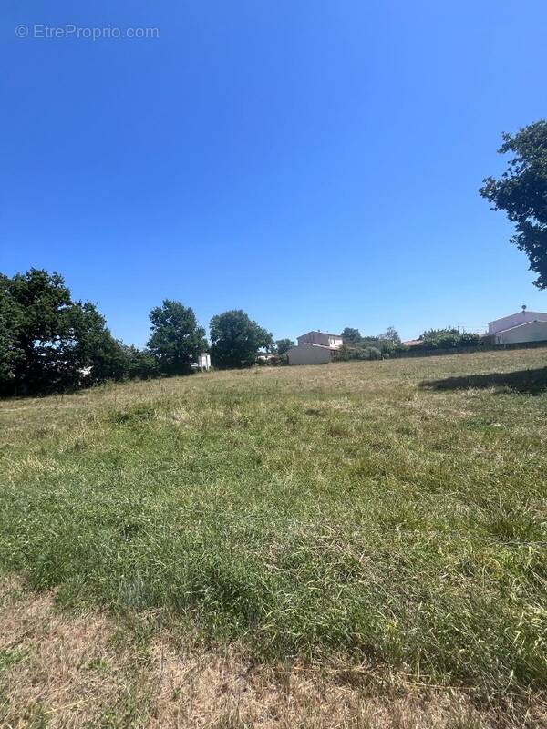 Terrain à SAUJON