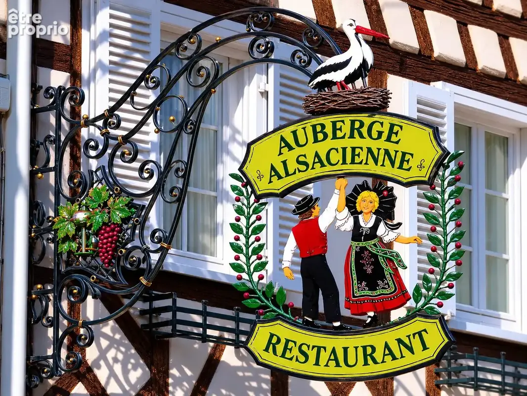 Photo Autres à Strasbourg au prix de N/C