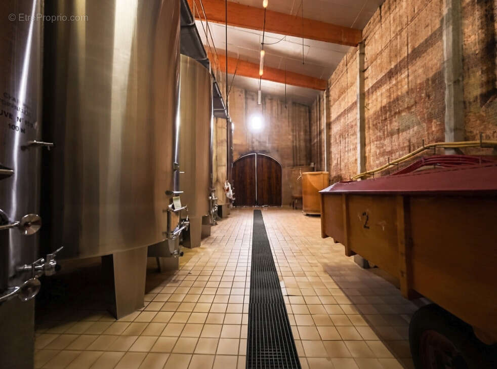 Domaine Viticole - 17 Hectares - AOP Buzet - photo 8
