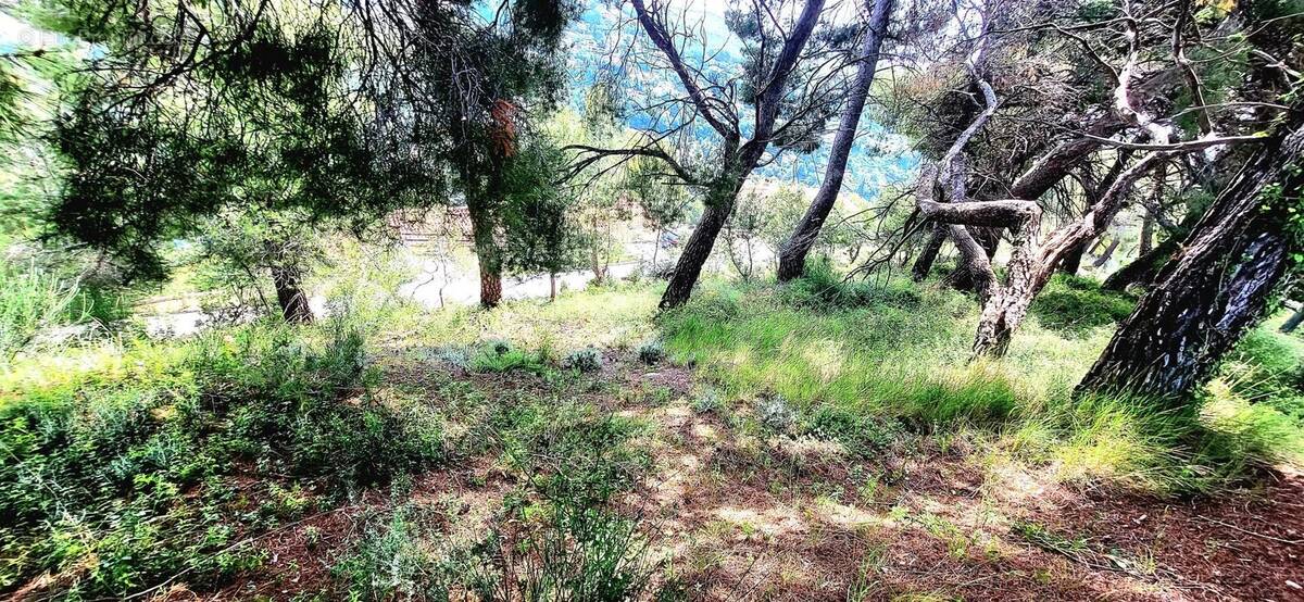 Terrain à COLOMARS