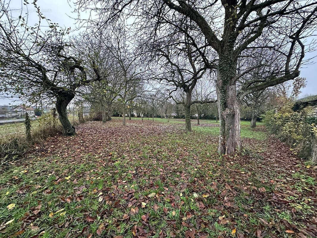 Maison à FLAVY-LE-MARTEL