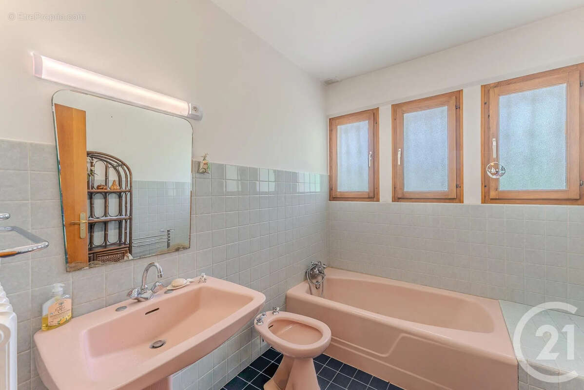 Maison 196 m² à Saint-Paul-En-Chablais  - photo 11