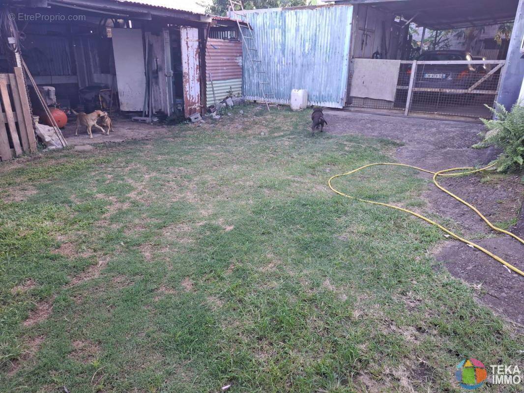 Terrain à SAINT-ANDRE