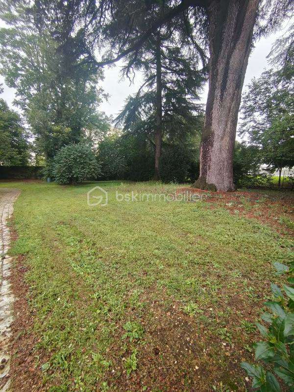 Terrain à SOISY-SUR-SEINE