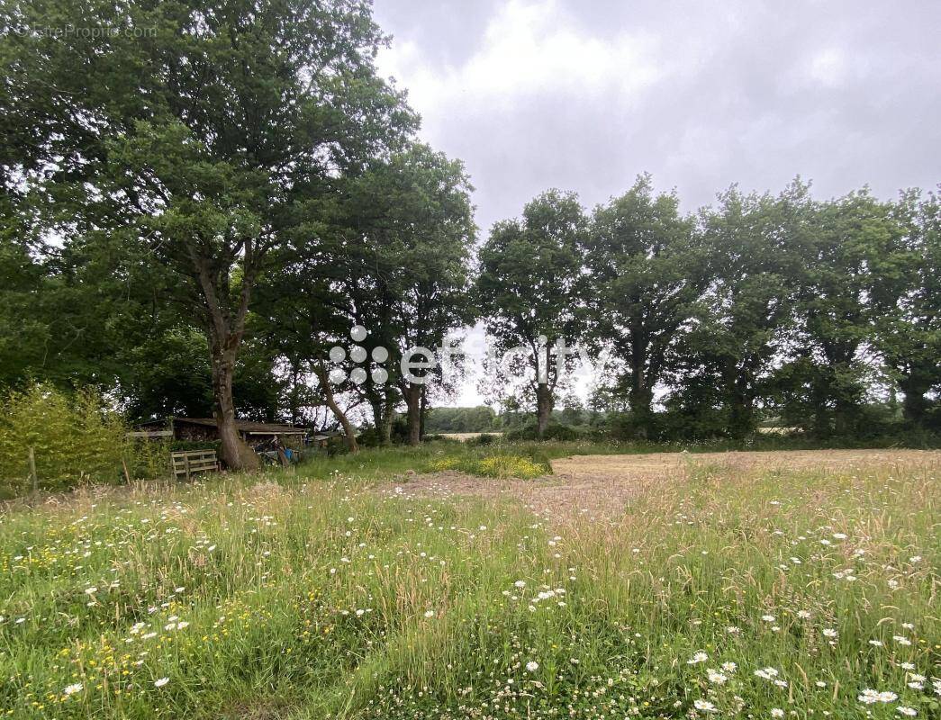 Terrain à LE CELLIER