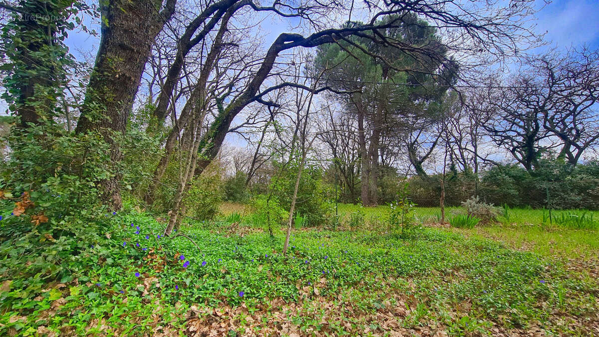 Terrain à LA BRUGUIERE