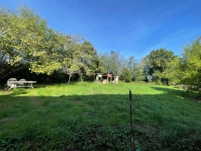 Maison à CERCY-LA-TOUR
