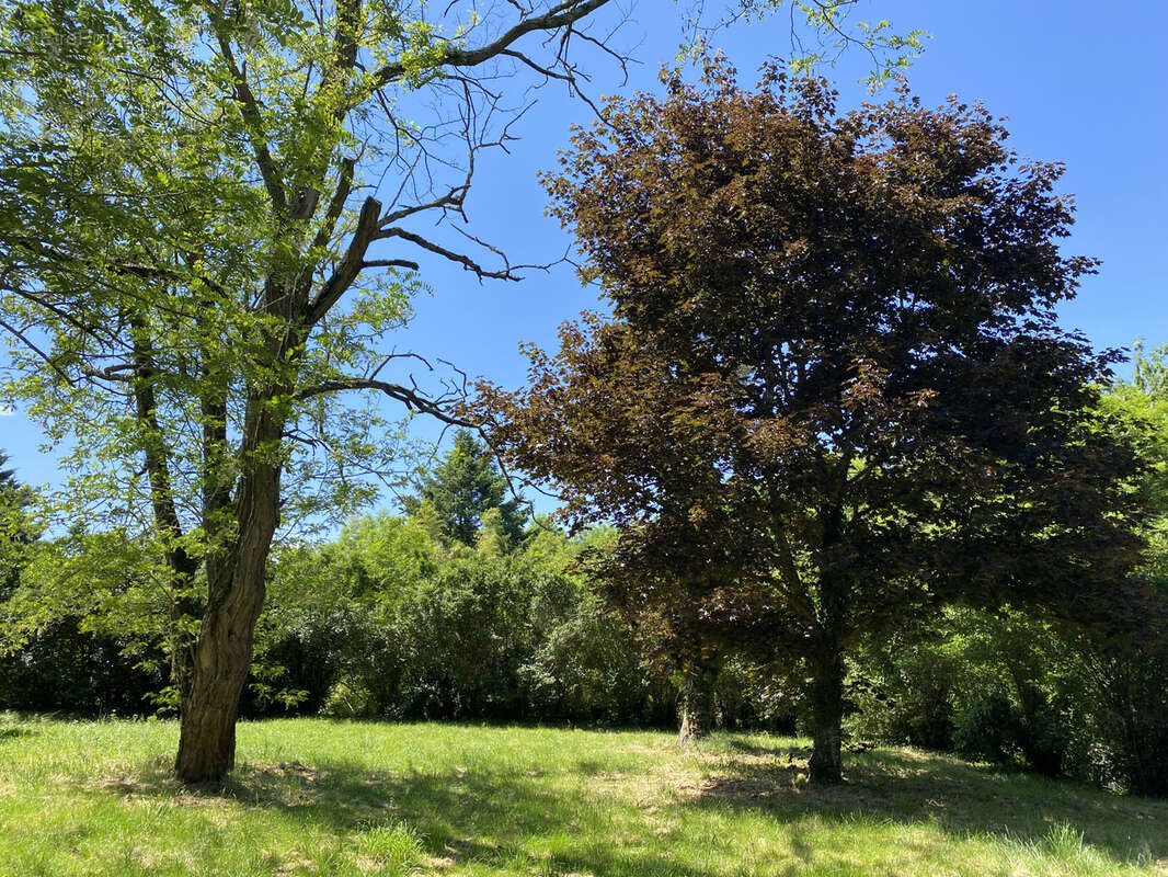 5 MN ANNONAY, maison de 128m2 sur un terrain de 3141m2 - photo 9
