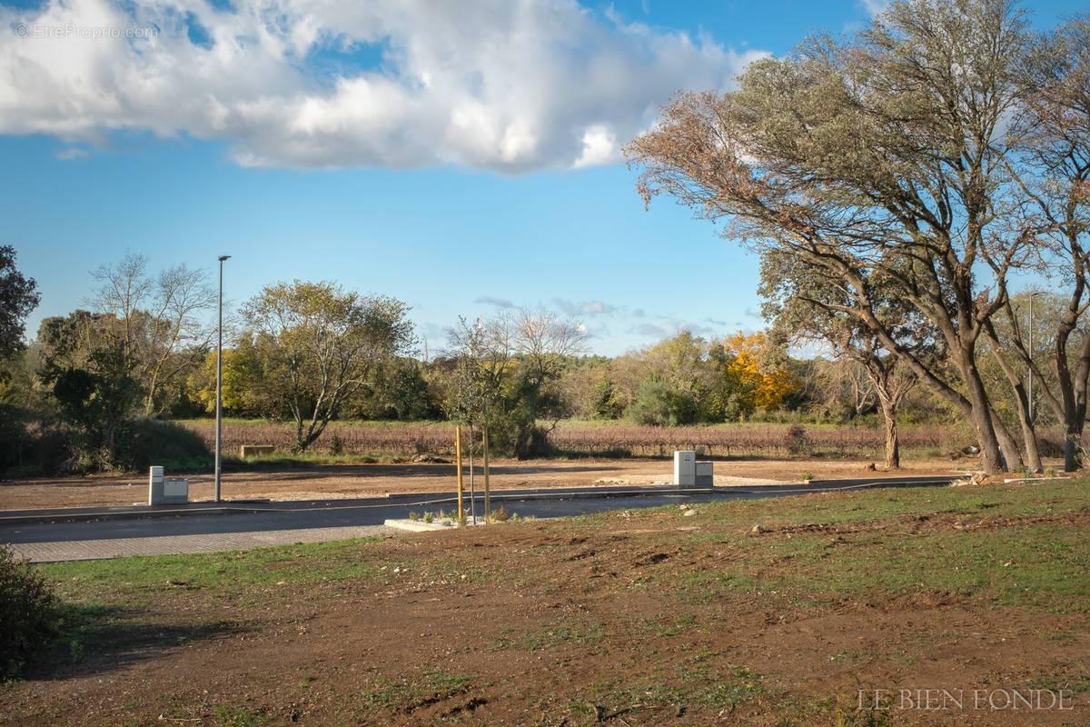 Terrain à SAINT-BRES