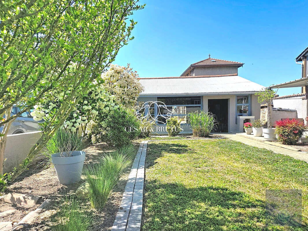 jardin côté impasse (très calme) - Maison à AUBERIVES-SUR-VAREZE